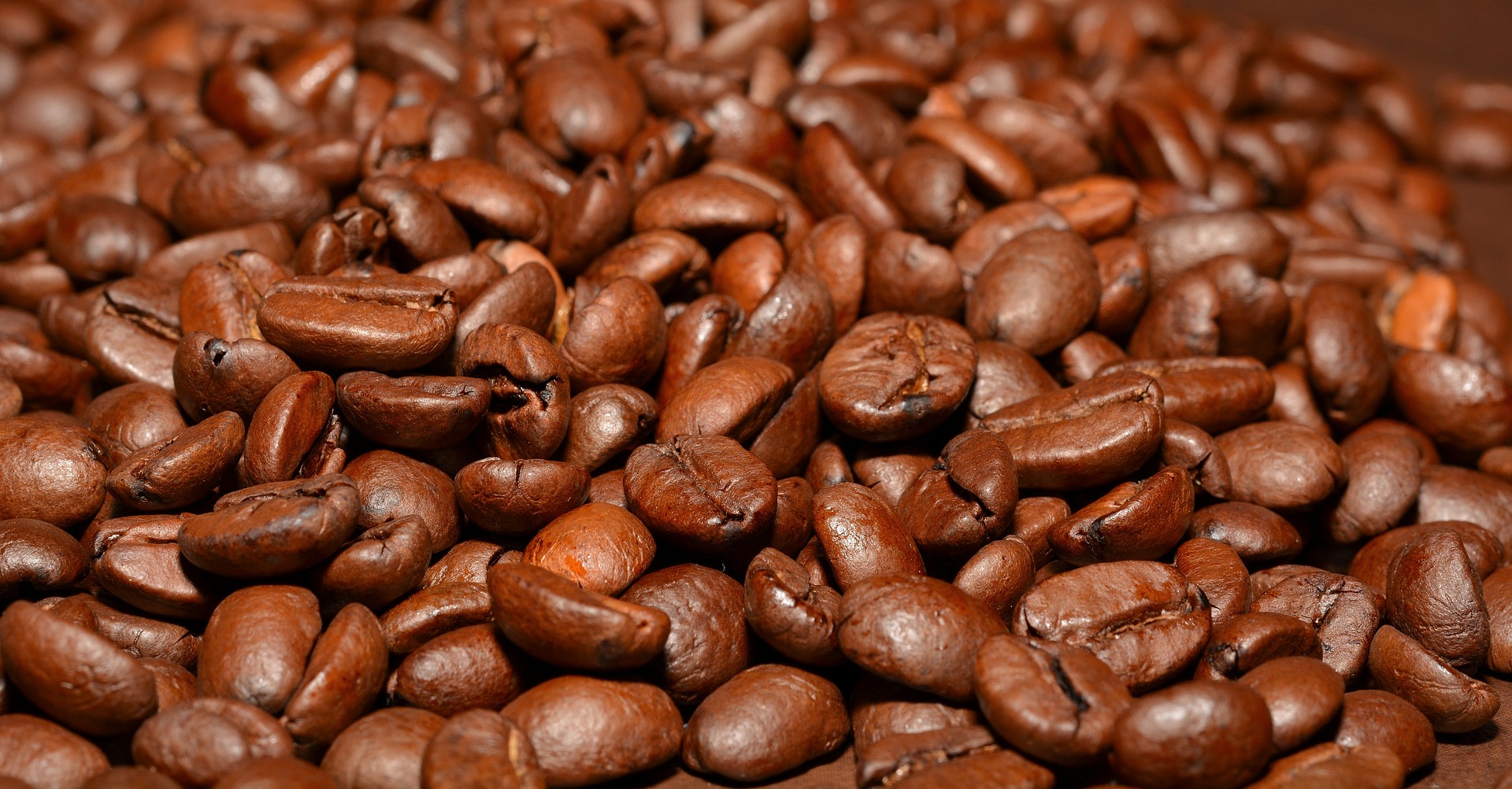 hạt cà phê Arabica nguyên chất