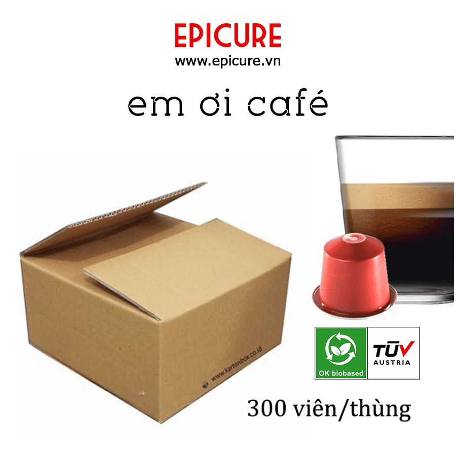 Em-oi-cafe-300v-vietphin